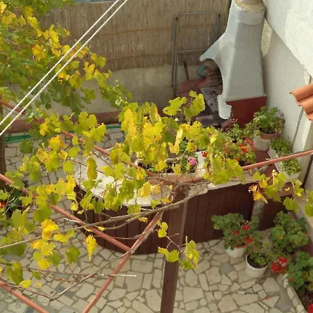 In - Istrien 11382 Lägenhet Pula