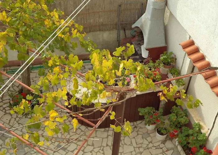 In - Istrien 11382 아파트 풀라